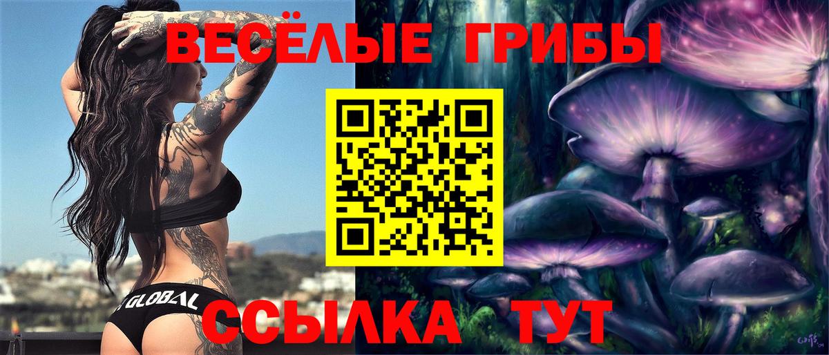 Псилоцибиновые грибы мухоморы  Вход с VPN  Армавир 